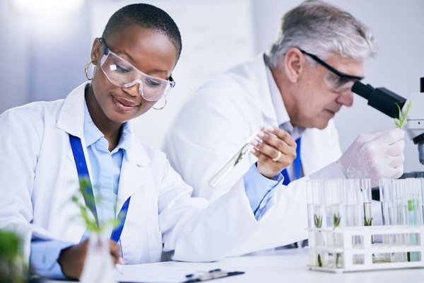Alternatives étonnantes à la colle de poisson : des adhésifs surprenants qui fonctionnent aussi bien!