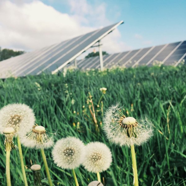 Hangar agricole photovoltaïque : les avantages avec ce type de structure