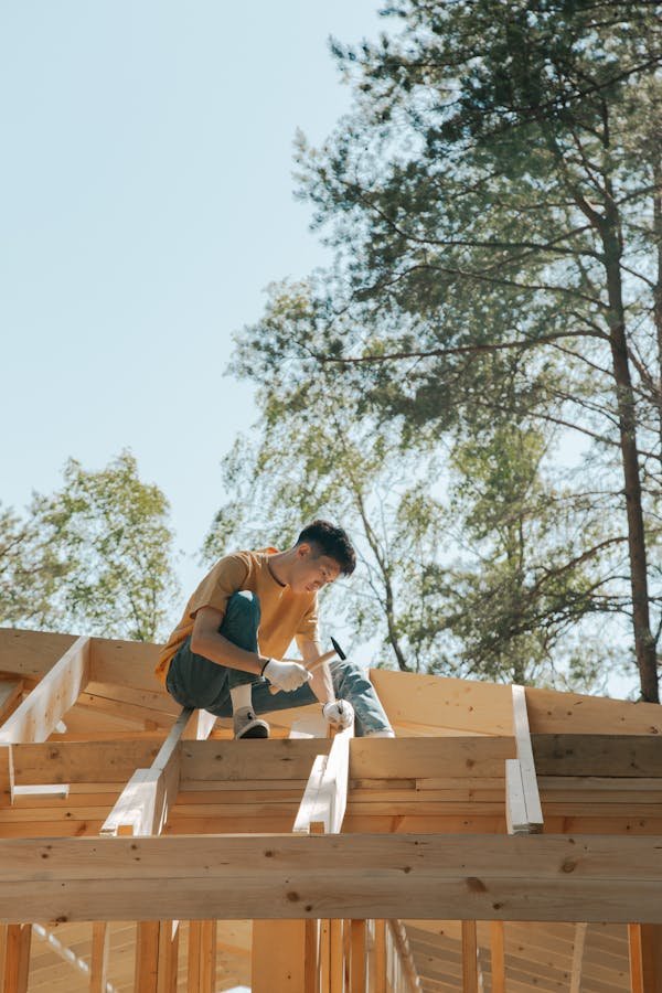 Guide complet sur le traitement des charpentes en bois
